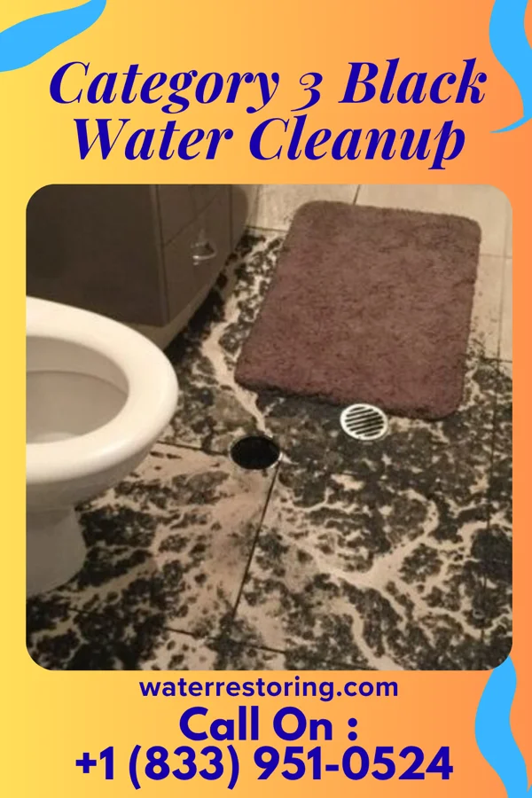 Category 3 Black Water Cleanup in Winchester, ID