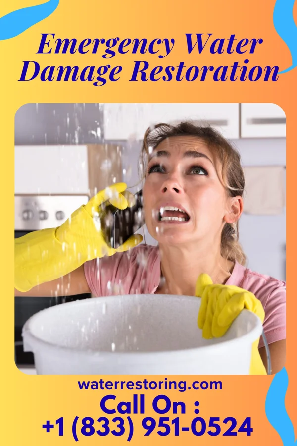 Emergency Water Damage Restoration in Winchester, ID